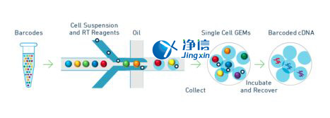 中國人自己的微流控單細胞測序儀來了！_微流控Drop-seq,微流控技術