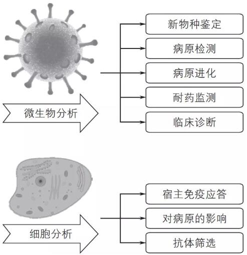 單細胞測序技術(shù)及其在傳染病研究領(lǐng)域中的應用講解