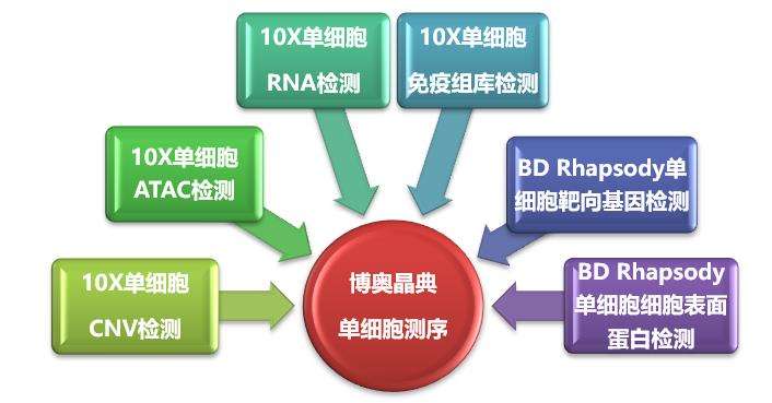 單細胞測序技術(shù)及其在傳染病研究領(lǐng)域中的應用講解