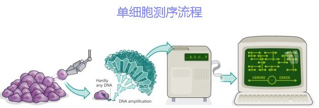 單細胞測序技術(shù)及其在傳染病研究領(lǐng)域中的應用講解